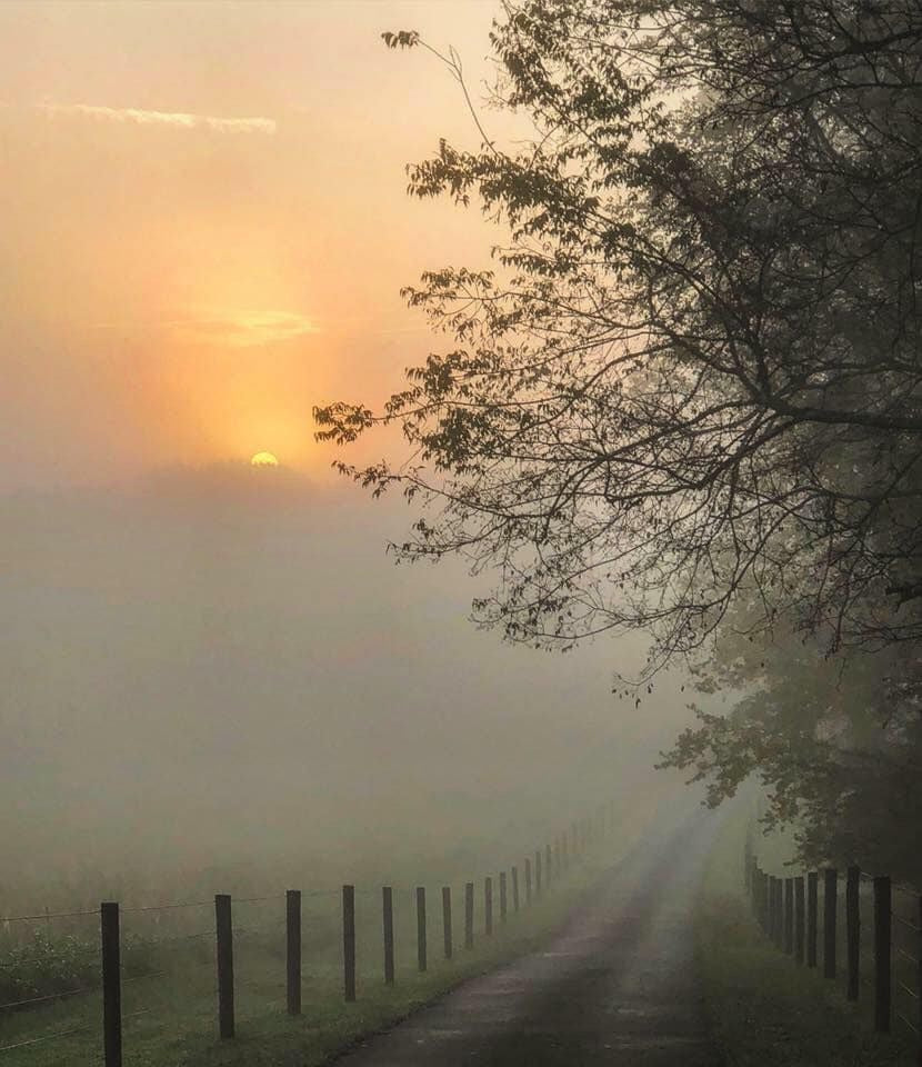 Early Morning Fog