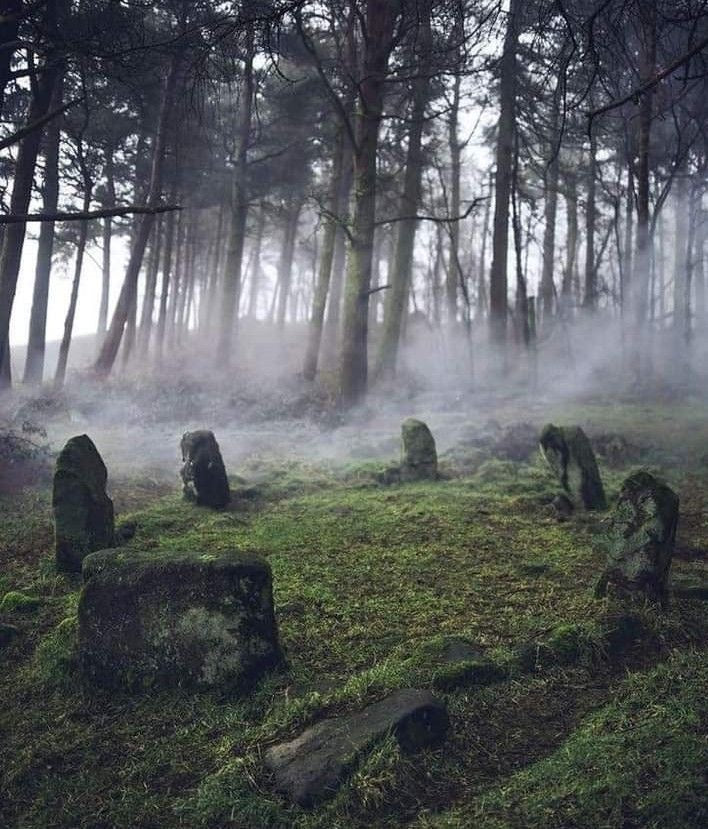 Celtic Forest