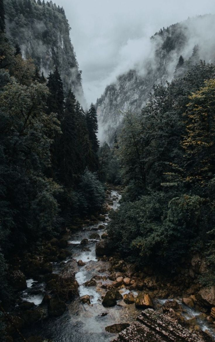 Babbling Brook