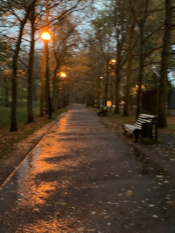 Autumn Rain