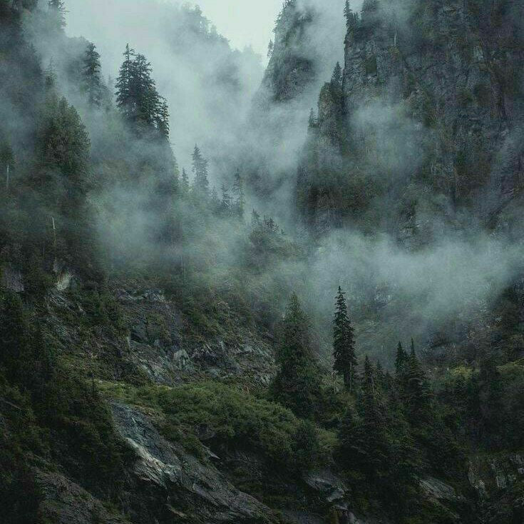 Mountain Mist